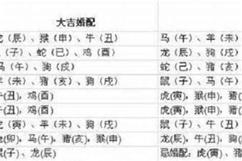 97年属牛|1997年出生属什么生肖 1997年属牛是什么命